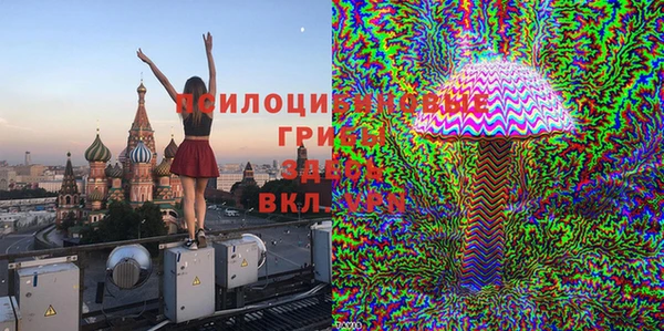 спайс Белокуриха