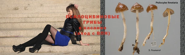 прущая мука Белоозёрский