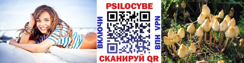 Псилоцибиновые грибы Cubensis  Горно-Алтайск 