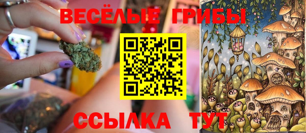 Галлюциногенные грибы GOLDEN TEACHER  где найти   Горно-Алтайск  Вход с VPN 
