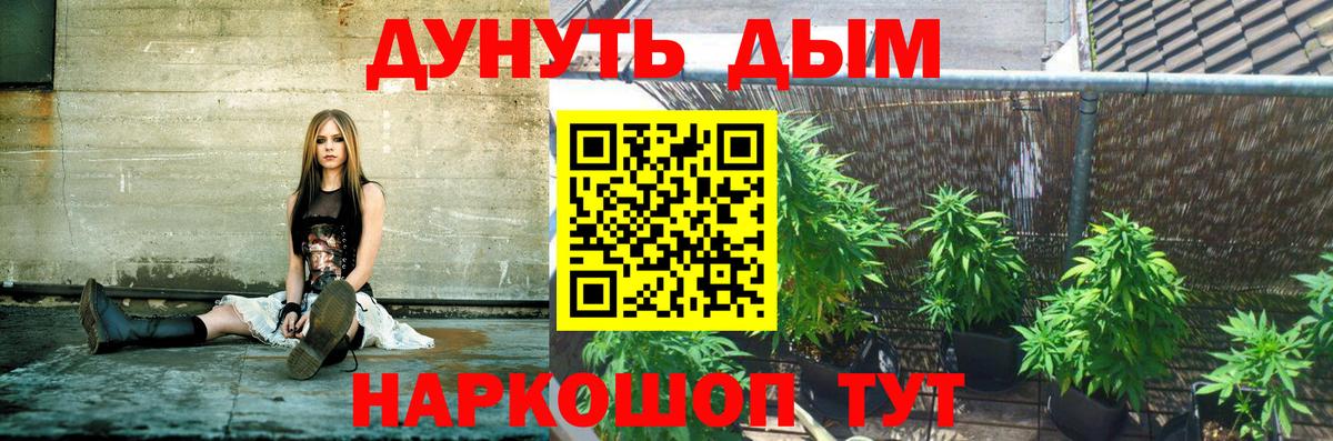 Бошки Шишки планчик  Бошки марихуана марихуана  Горно-Алтайск  Вход с VPN  Марихуана SATIVA & INDICA 